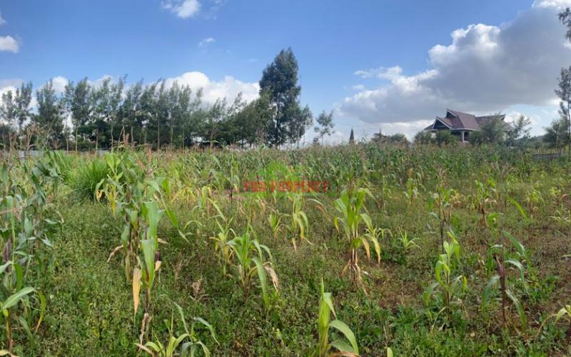 0.05 Ha Plot For Sale In Kikuyu, Lusingetti