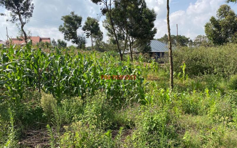 0.1 Ha Prime Residential Plot For Sale In Kikuyu, Kamangu