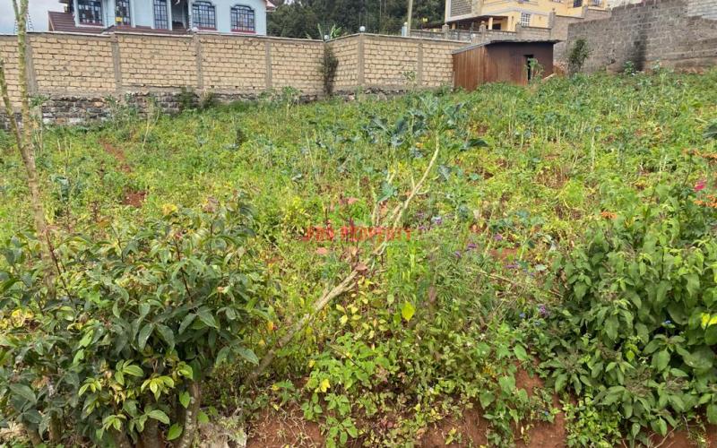 Prime Residential 1/8 Acre Plot for Sale in Kikuyu Gikambura.