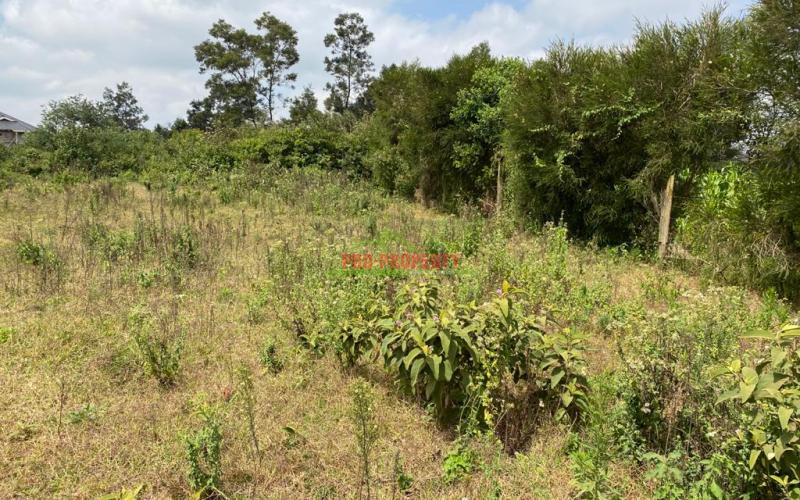 0.05 Ha Plot For Sale  In Limuru, Mutarakwa.