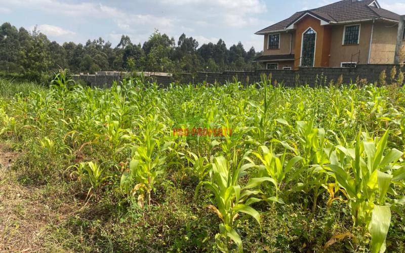 Prime Plot For Sale In Kikuyu, Thogoto Near Damacrest School.