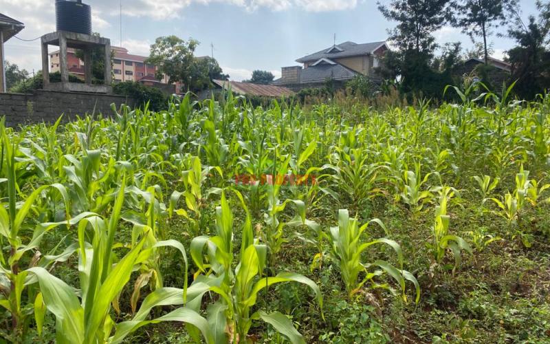 Prime Plot For Sale In Kikuyu, Thogoto Near Damacrest School.