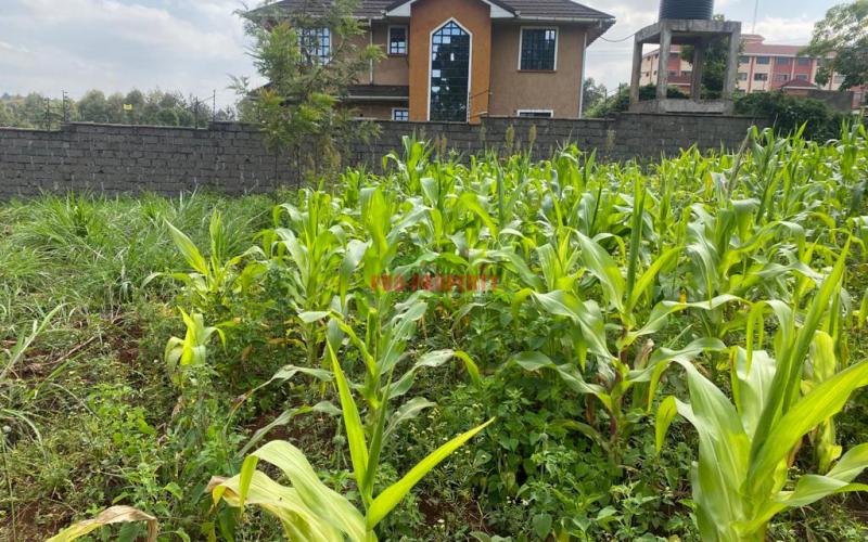 Prime Plot For Sale in Kikuyu, Thogoto near Damacrest School.