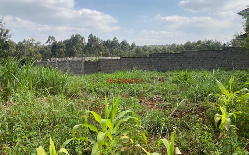 Prime Plot For Sale In Kikuyu, Thogoto Near Damacrest School.