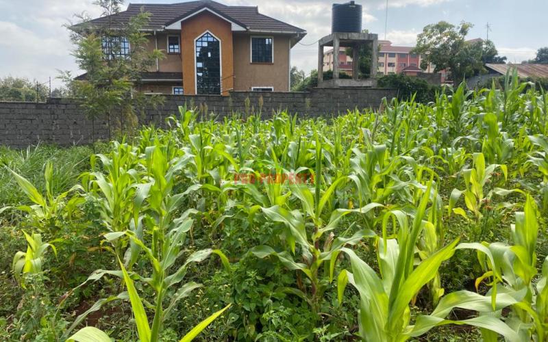 Prime Plot For Sale In Kikuyu, Thogoto Near Damacrest School.