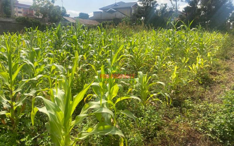 Prime Plot For Sale In Kikuyu, Thogoto Near Damacrest School.