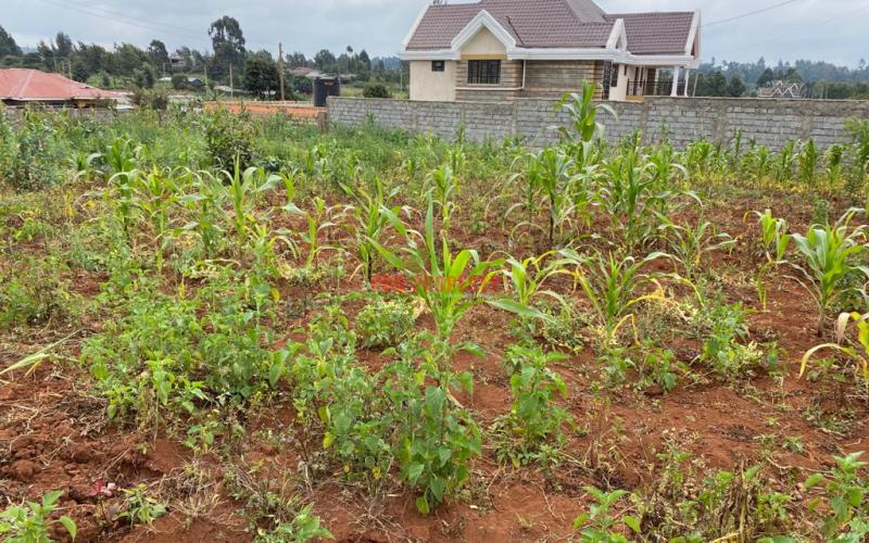Prime Plot For Sale in Kikuyu Gikambura (Nairobi Ndogo).