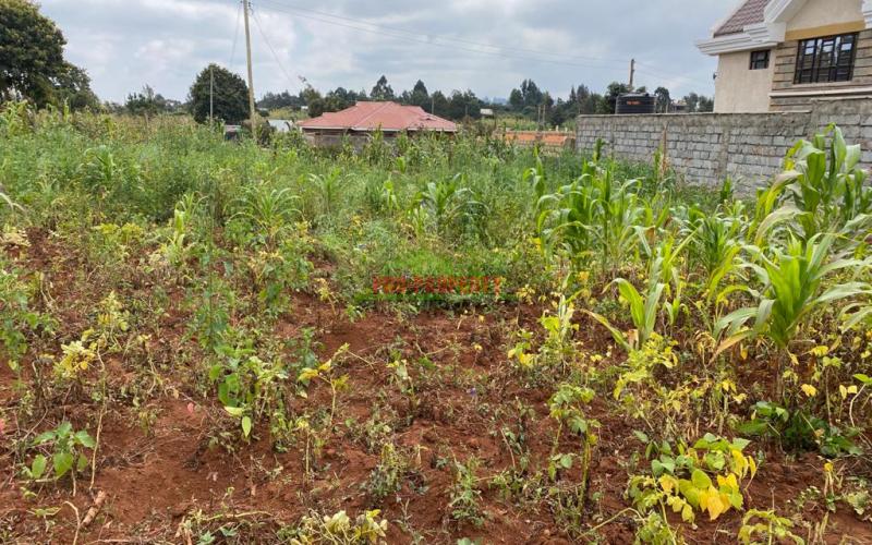 Prime Plot For Sale In Kikuyu Gikambura (nairobi Ndogo).
