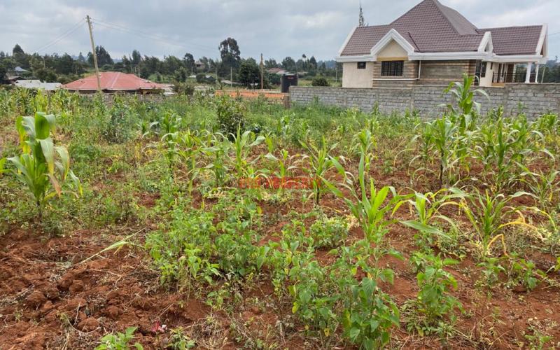 Prime Plot For Sale In Kikuyu Gikambura (nairobi Ndogo).