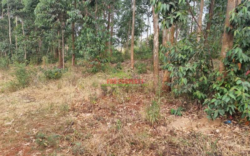 50 X100 Ft Plot For Sale In Kikuyu, Gikambura.