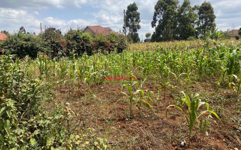 Corner Plot For Sale Touching Tarmac In Kikuyu, Gikambura.