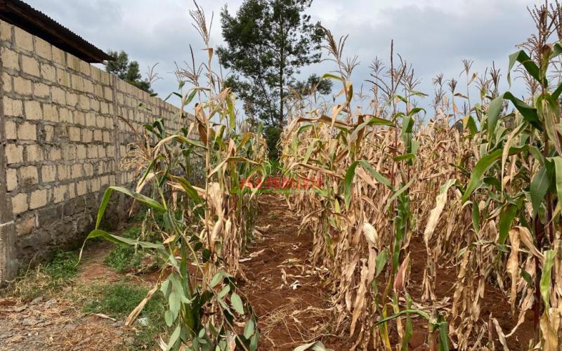 Residential Plot For Sale In Kikuyu, Gikambura.