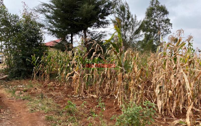 Residential Plot For Sale In Kikuyu, Gikambura.