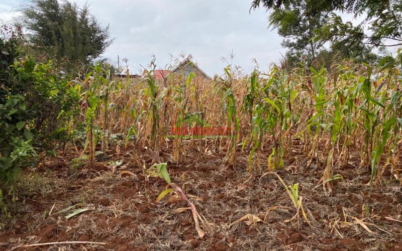 Residential Plot For Sale In Kikuyu, Gikambura.