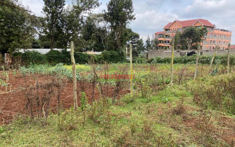 Prime Commercial Plot For Sale In Limuru Town.