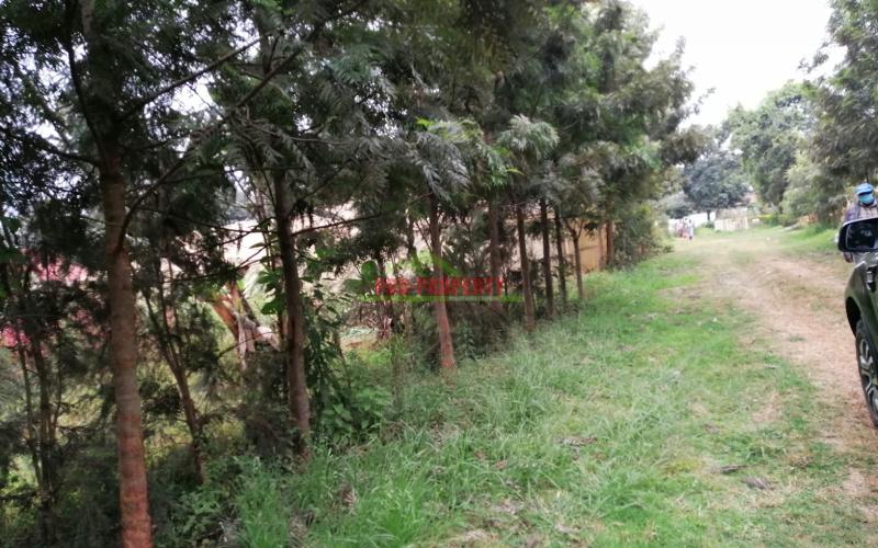 0.1 Ha Prime Plot For Sale In Kikuyu.