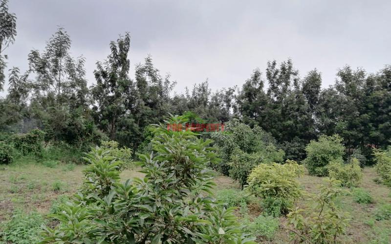 0.1 Ha Prime Plot For Sale In Kikuyu.