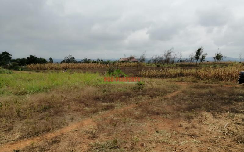 Plot For Sale In Kikuyu, Kamangu.