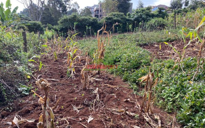 Residential Plot For Sale In Kinoo Muthiga.