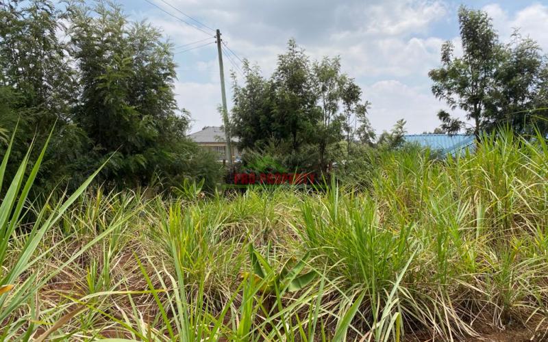 Prime Residential Plot For Sale In Kikuyu, Lusigetti.