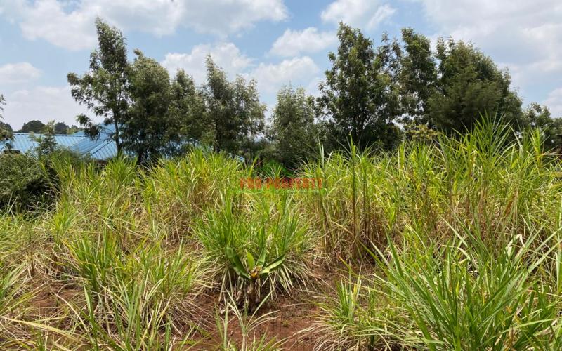 Prime Residential Plot For Sale In Kikuyu, Lusigetti.
