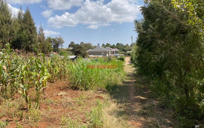 Prime Residential Plot For Sale In Kikuyu, Lusigetti.