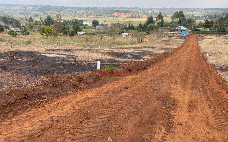 Prime Residential Plots For Sale In Kikuyu, Kamangu (migumoini Area).