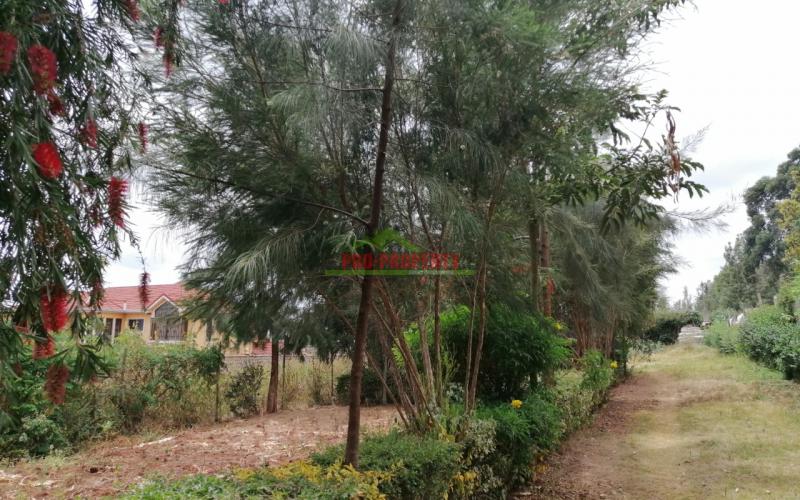 Prime Plot For Sale In Ngong,upper Matasia.