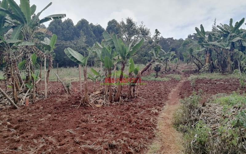 Prime Residential Plot For Sale In Kikuyu, Gikambura.