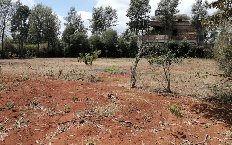 Prime Plot For Sale In Kikuyu, Gikambura.