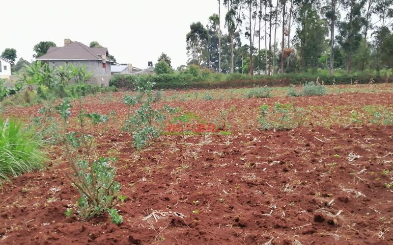 Prime Residential Plot For Sale in Kikuyu, Gikambura.