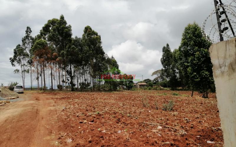 Prime Plot For Sale In Kikuyu, Gikambura.