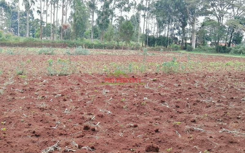 Prime Residential Plot For Sale In Kikuyu, Gikambura.