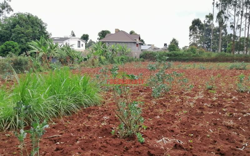 Prime Residential Plot For Sale In Kikuyu, Gikambura.