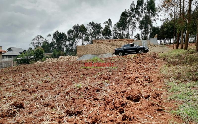 Prime Plot For Sale In Kikuyu, Gikambura.