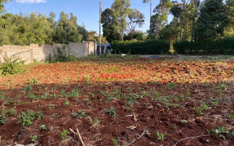 Residential Plot For Sale In Kikuyu, Ondiri.