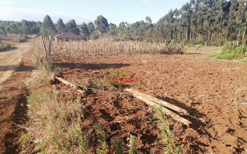 Prime Plot For Sale In Kikuyu, Kamangu.