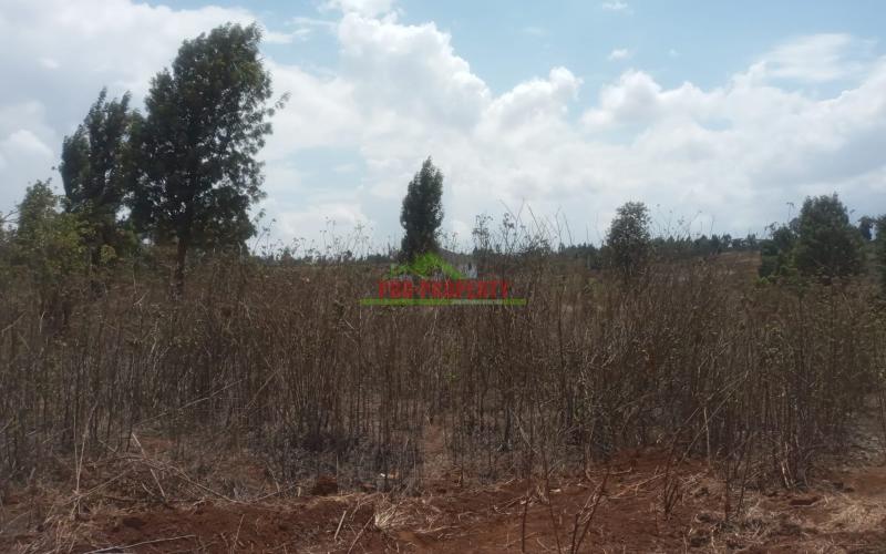 50×100ft Residential Plot In Lusigetti For Sale