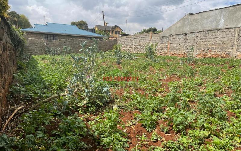 Prime Commercial Plot For Sale In Kikuyu, Thogoto.