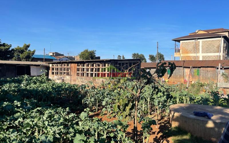 Commercial Plot For Sale In Zambezi, Nderi.