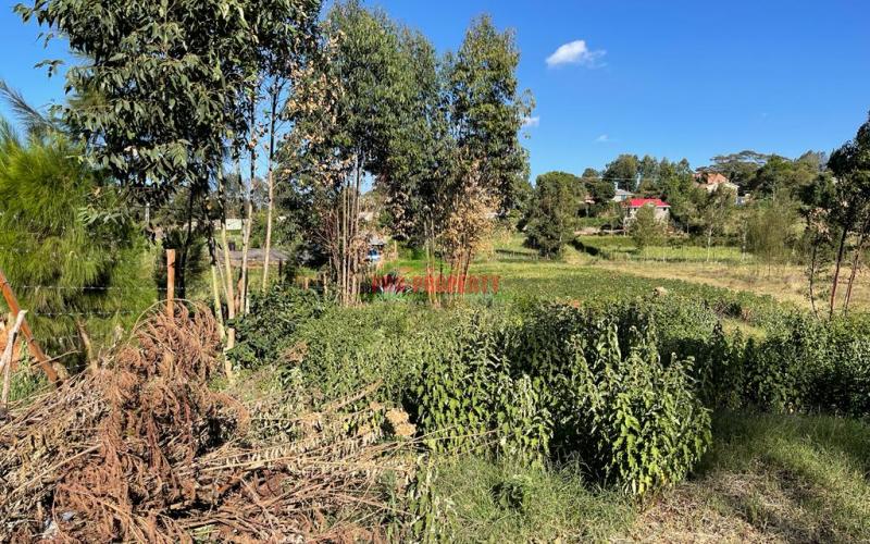 Prime Plot For Sale Touching Tarmac In Kikuyu, Ondiri.