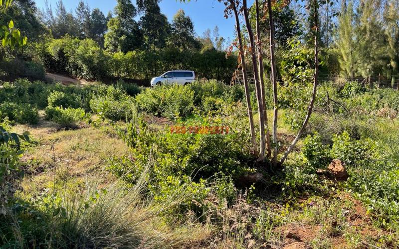 Prime Plot For Sale Touching Tarmac In Kikuyu, Ondiri.