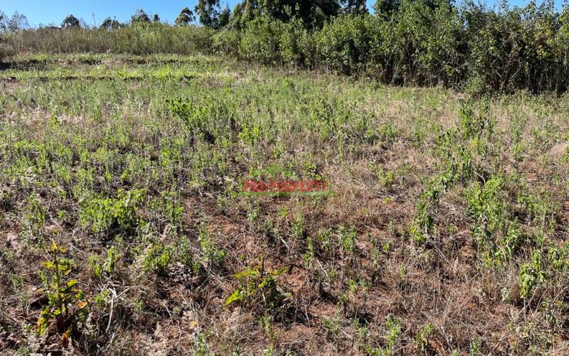 Prime Plot For Sale On Tarmac In Kikuyu, Kamangu.