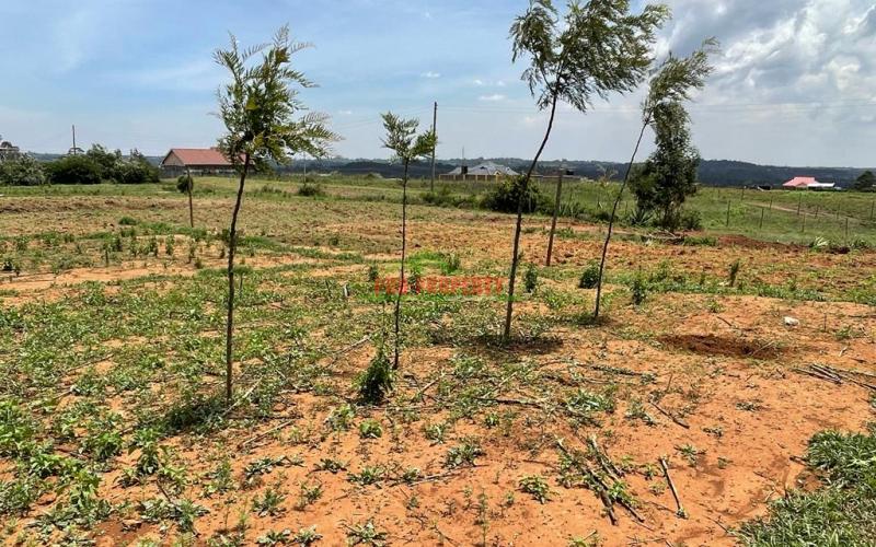 Prime Residential Plot For Sale in Kikuyu, Kamangu.