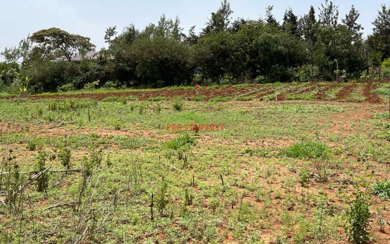Prime Residential Plot For Sale In Kikuyu, Kamangu.