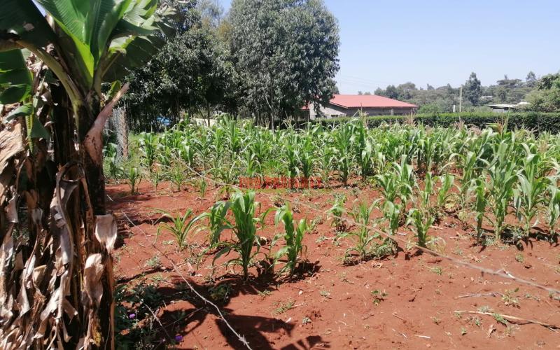 Prime Residential Plot For Sale In Kikuyu, Ondiri.