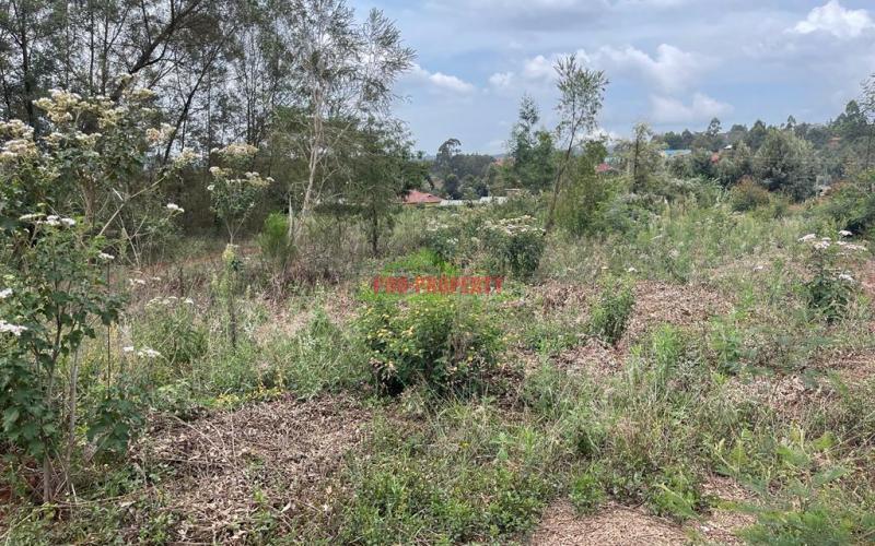 1/2 Acre Land For Sale In Kikuyu, Ondiri (kiambu County).