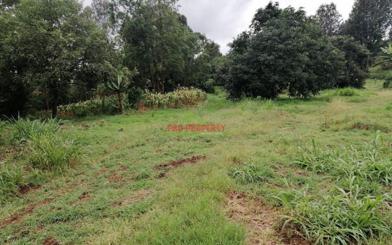 Prime Plot For Sale in Kikuyu, Gikambura