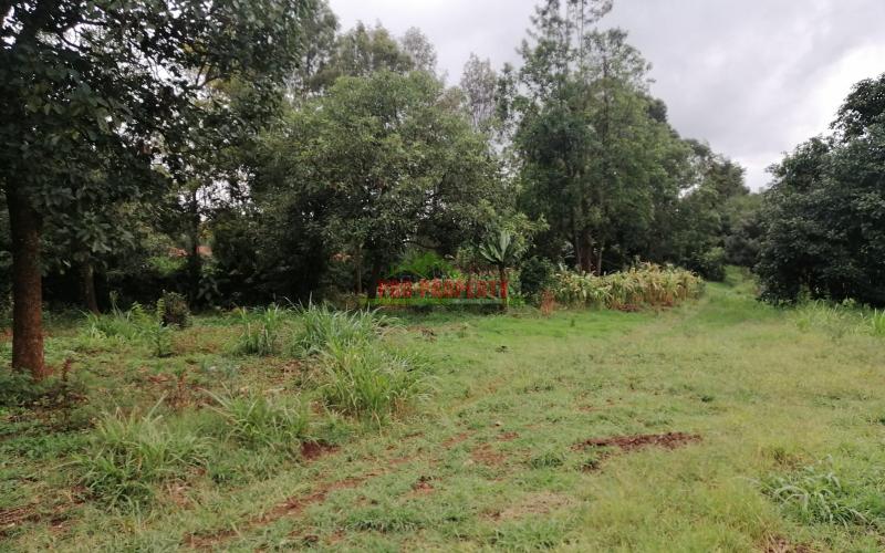 Prime Plot For Sale In Kikuyu, Gikambura