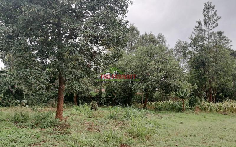 Prime Plot For Sale In Kikuyu, Gikambura